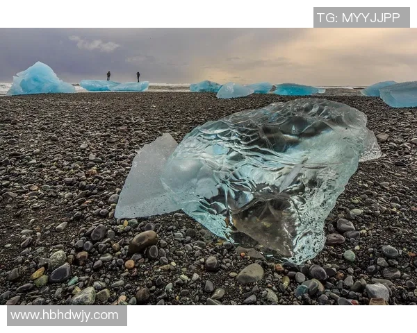 以亚马尔半岛为核心探讨北极气候变化对全球生态环境的深远影响