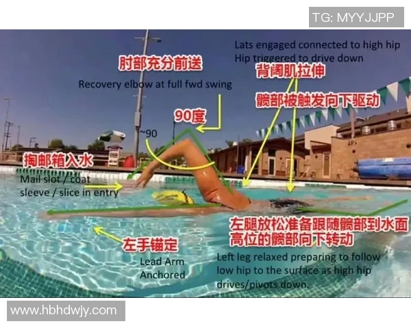 自由泳技巧全解析从基础动作到高级训练的全面指导 自由泳技巧全解析从基础动作到高级训练的全面指导
